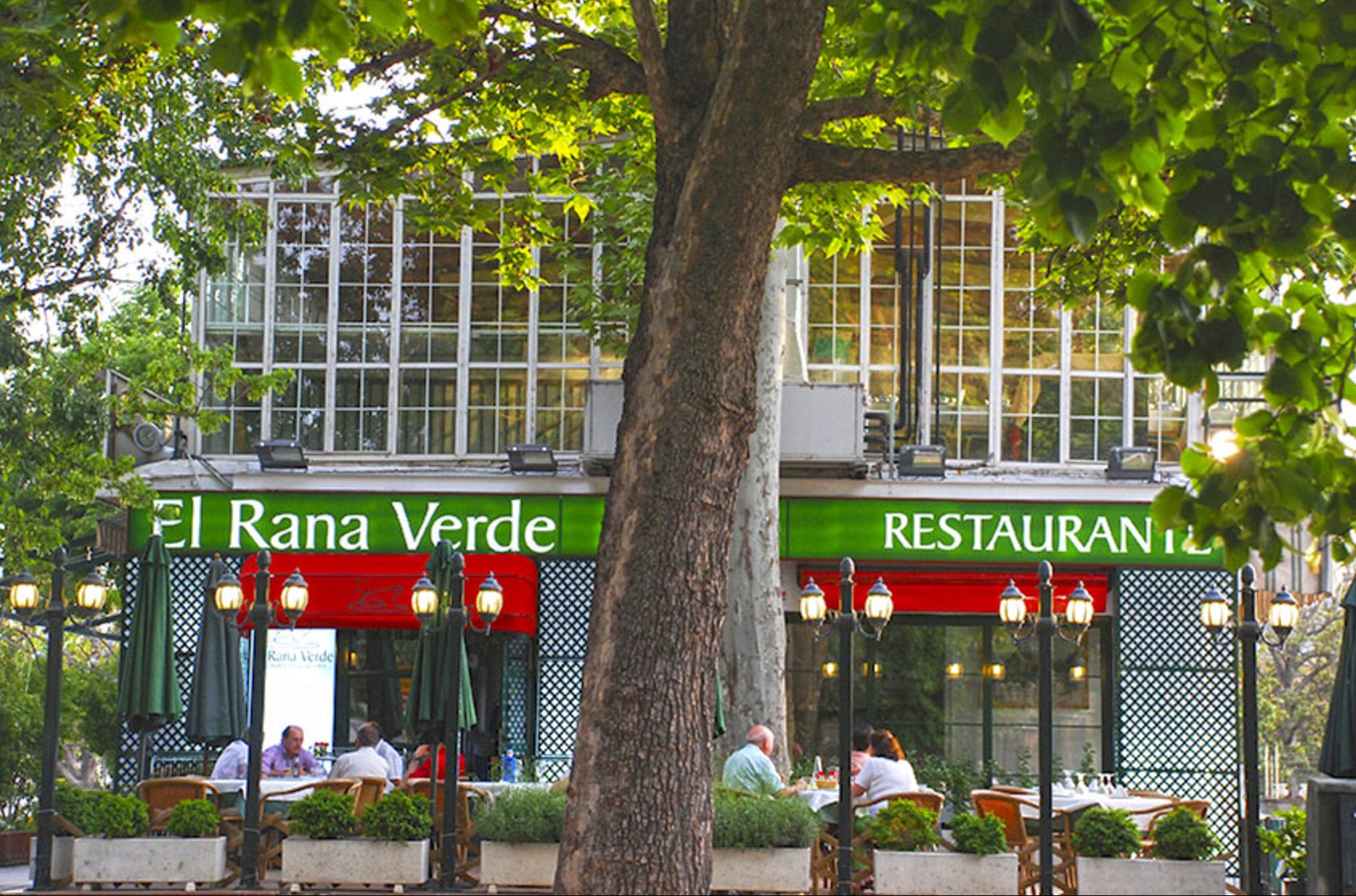 Restaurante Rana Verde